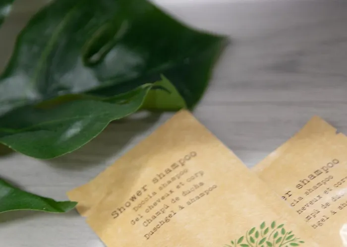 Dluga 6 * Бидгощ